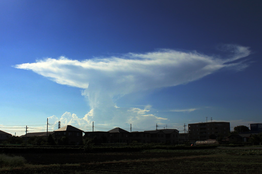 何雲ですか？