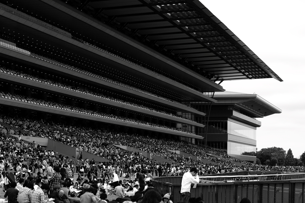Fuji View Stand