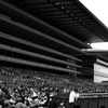 Fuji View Stand