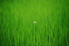 ぽつん