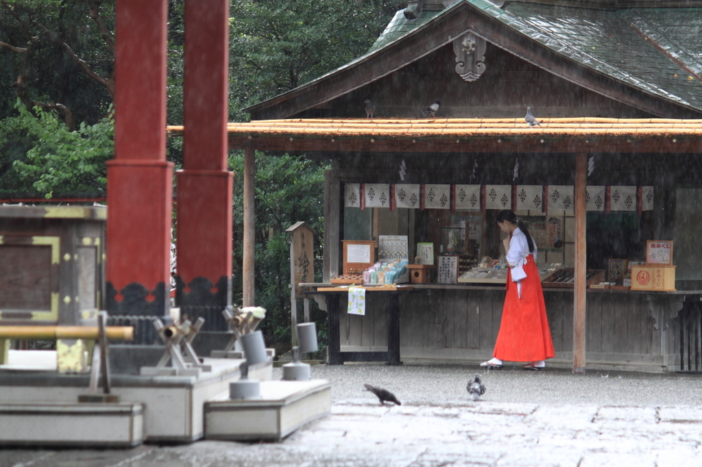 雨の境内