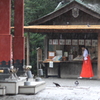 雨の境内