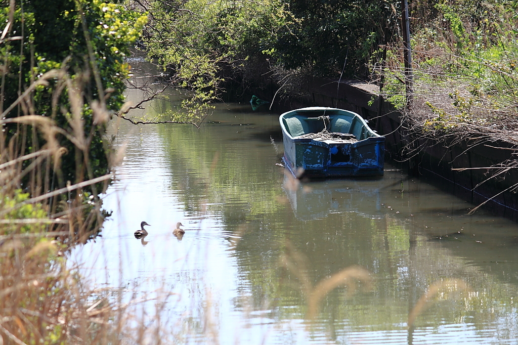Sad boat