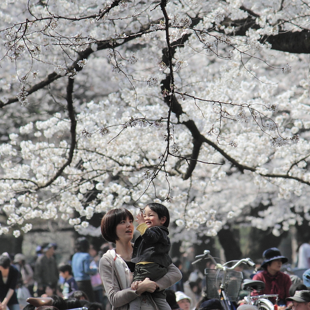 Blooming