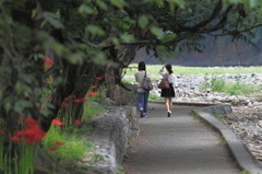 彼岸花の咲く川原