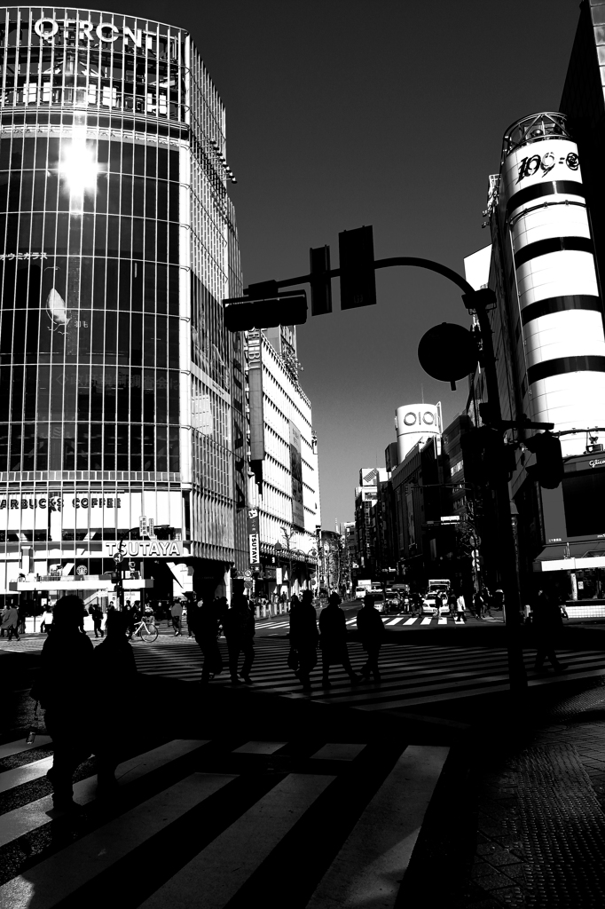 Reflection Ⅱ