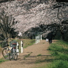 春路