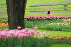 Tulip Girl
