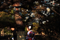 祝福される花嫁