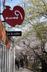 哲学の道とcafe