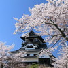 犬山城と桜２