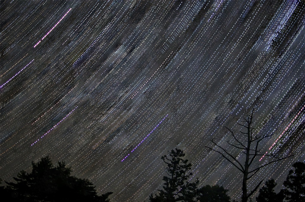 星の降る木