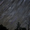 星の降る木