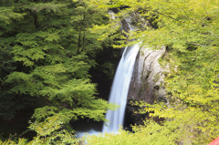 大釜の滝１