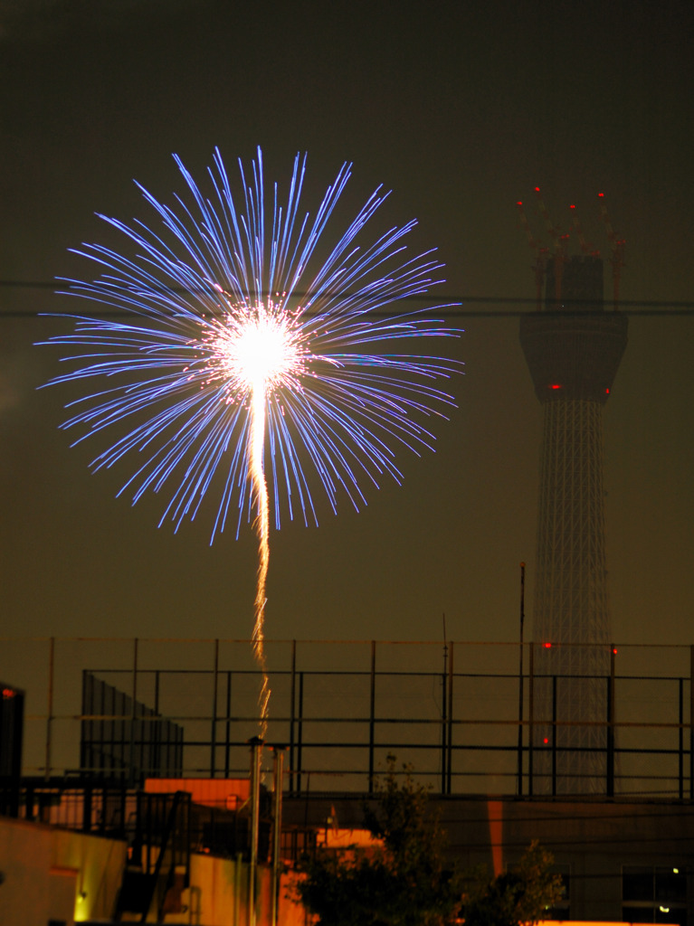 スカイツリーと花火