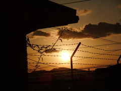 夕日