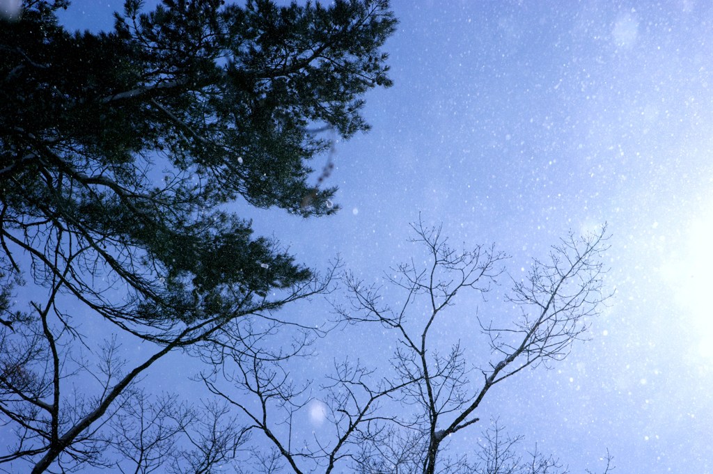 powder snow 