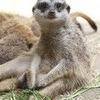 そんなに見つめないで・・・