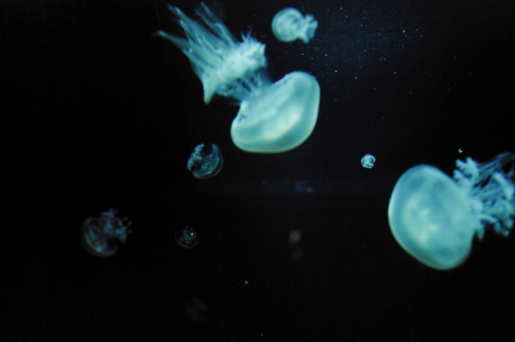 floating