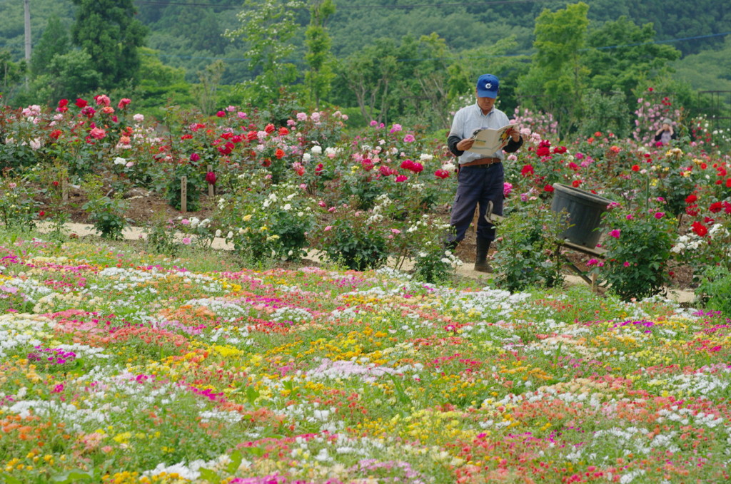Gardener