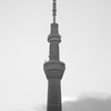 Tokyo Sky Tree