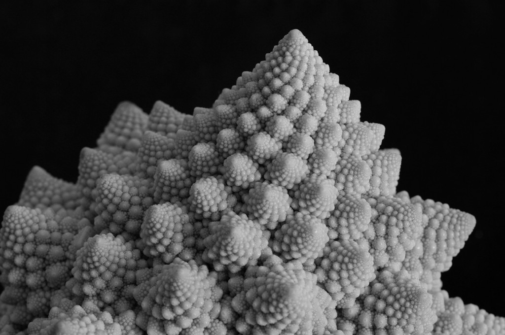Romanesco