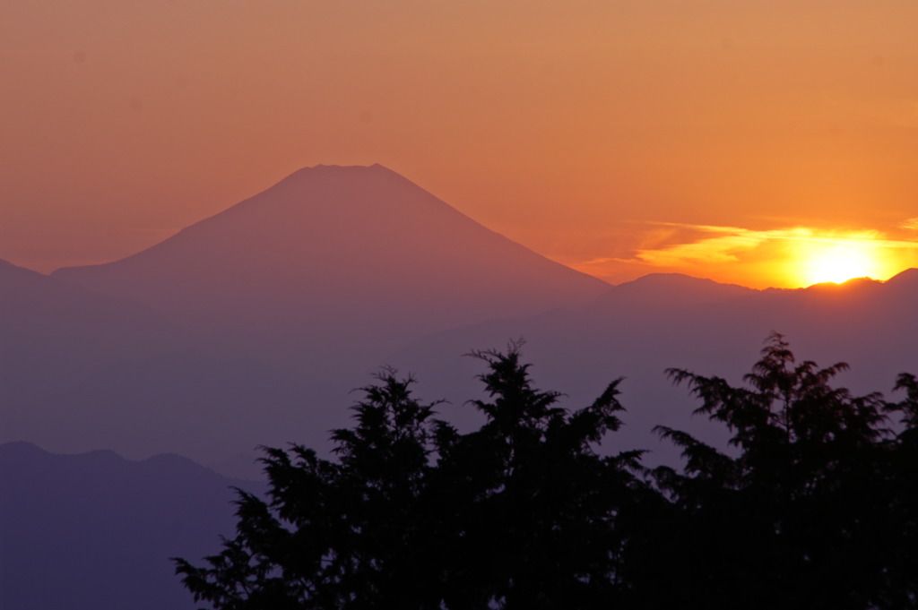 高尾山頂にて