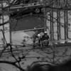 富士塚からの景色