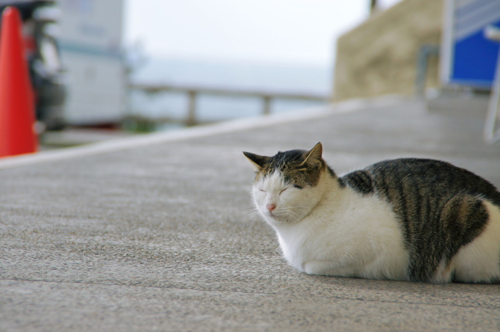 まどろみ