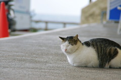 まどろみ