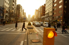 西日の歩道
