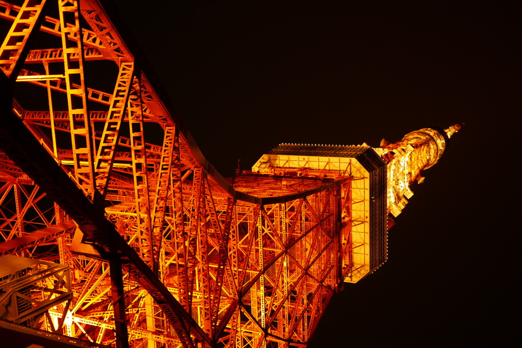 夜の東京タワー。かっこいい!!