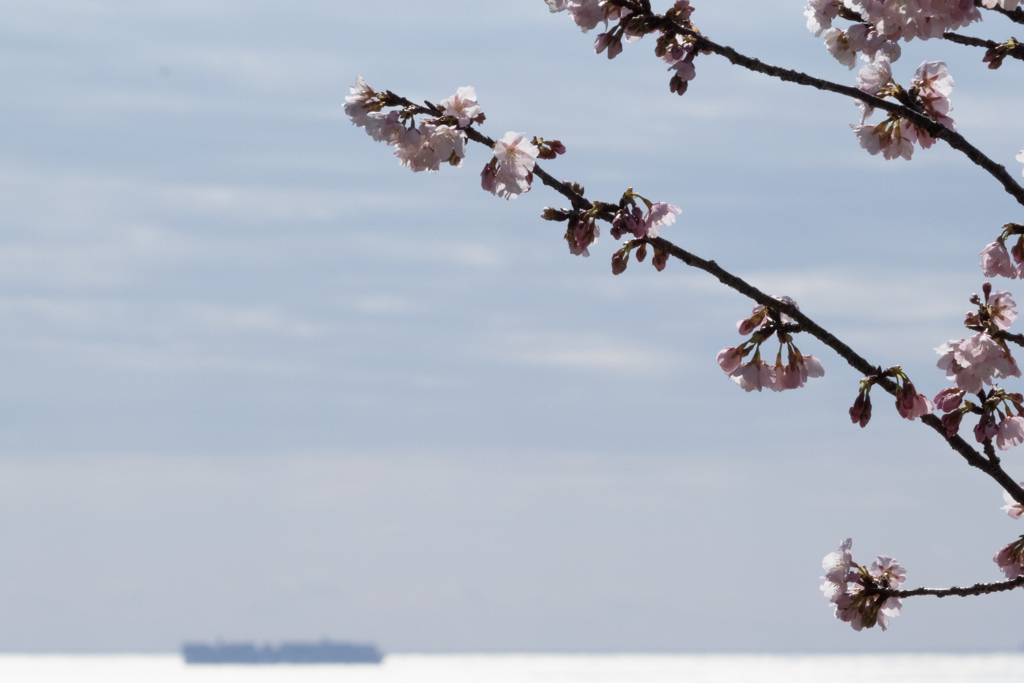 春の海辺