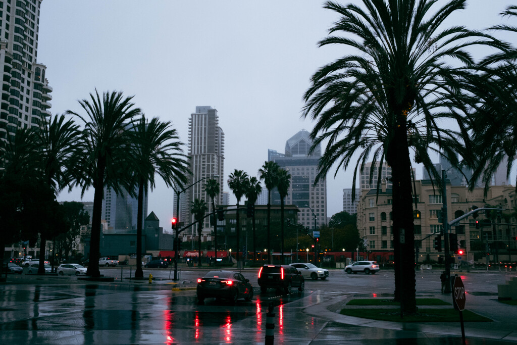 San Diego 2024 (3)