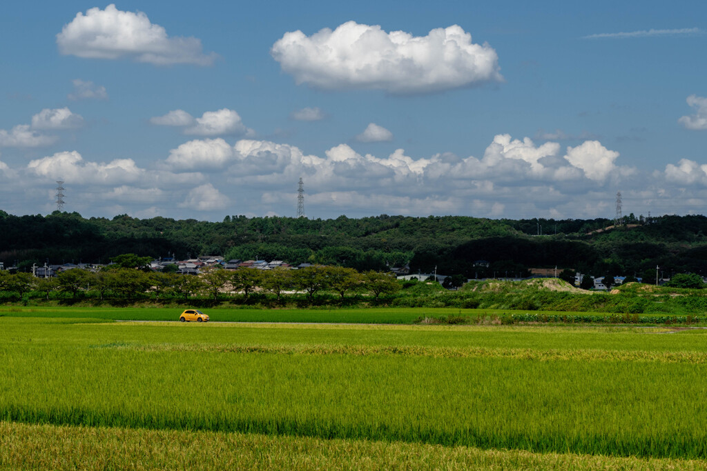 田園が似合う外車と言えば