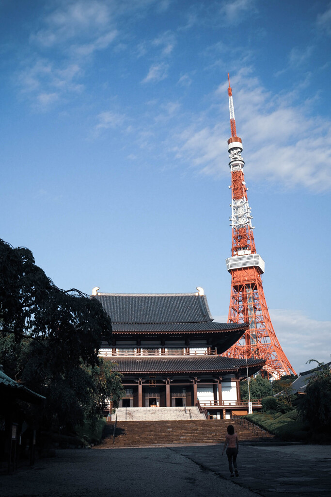 増上寺 2015年秋