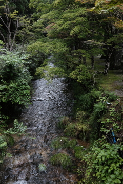 高野山　御殿川支流