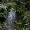 高野山　御殿川支流