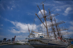 神戸港 帆船日本丸 June 2024 (4)