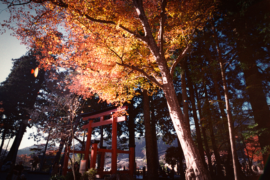 丹生都比売神社