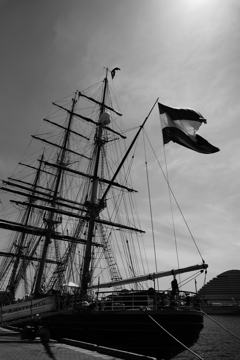 帆船 STAD AMSTERDAM (3)