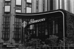 スタバも緑で猛暑対策