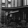 スタバも緑で猛暑対策