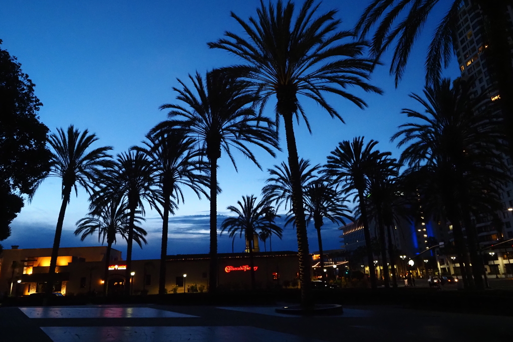 San Diego 2024 (2)