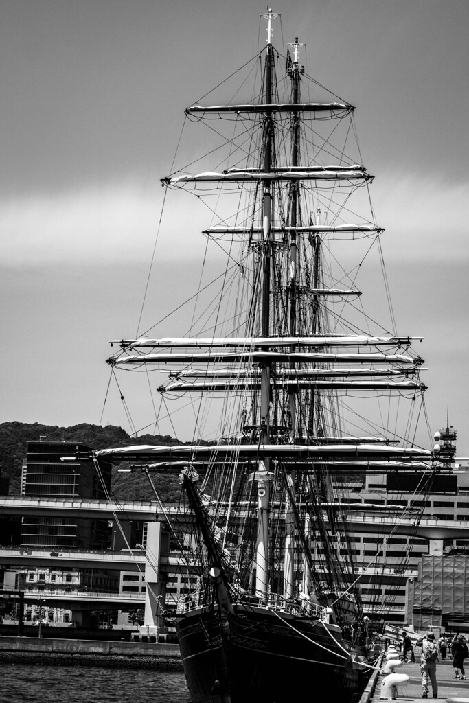 帆船 STAD AMSTERDAM (4)