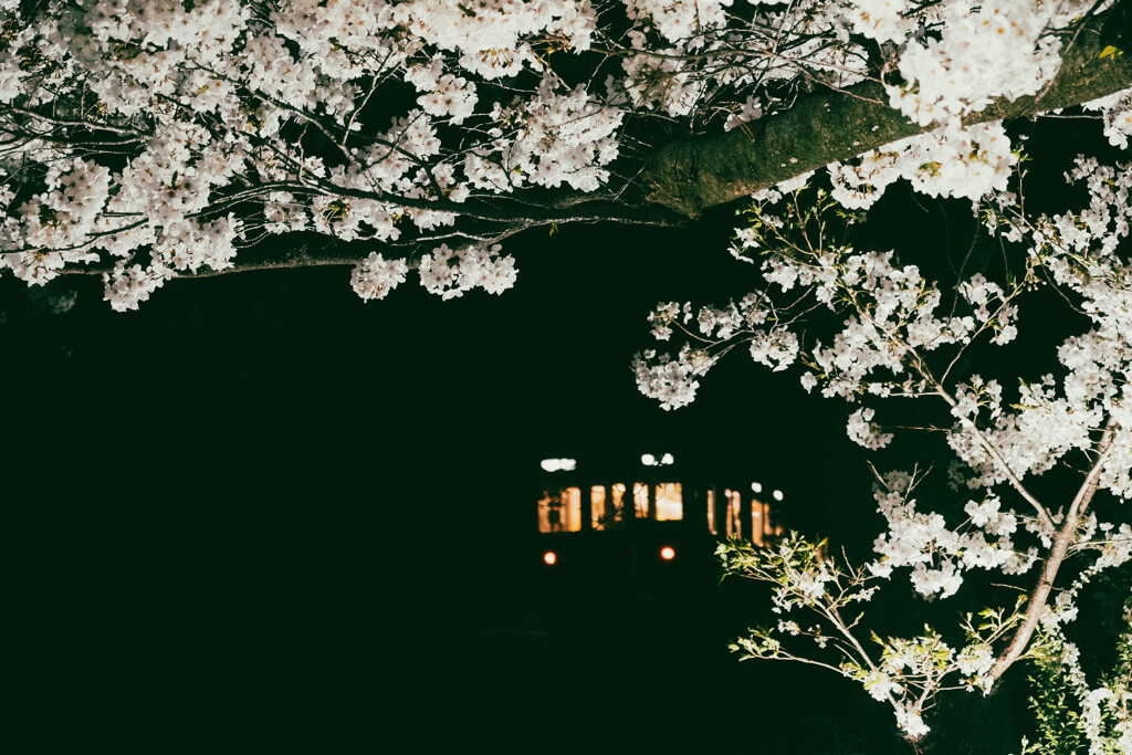 阪急電車と夜桜