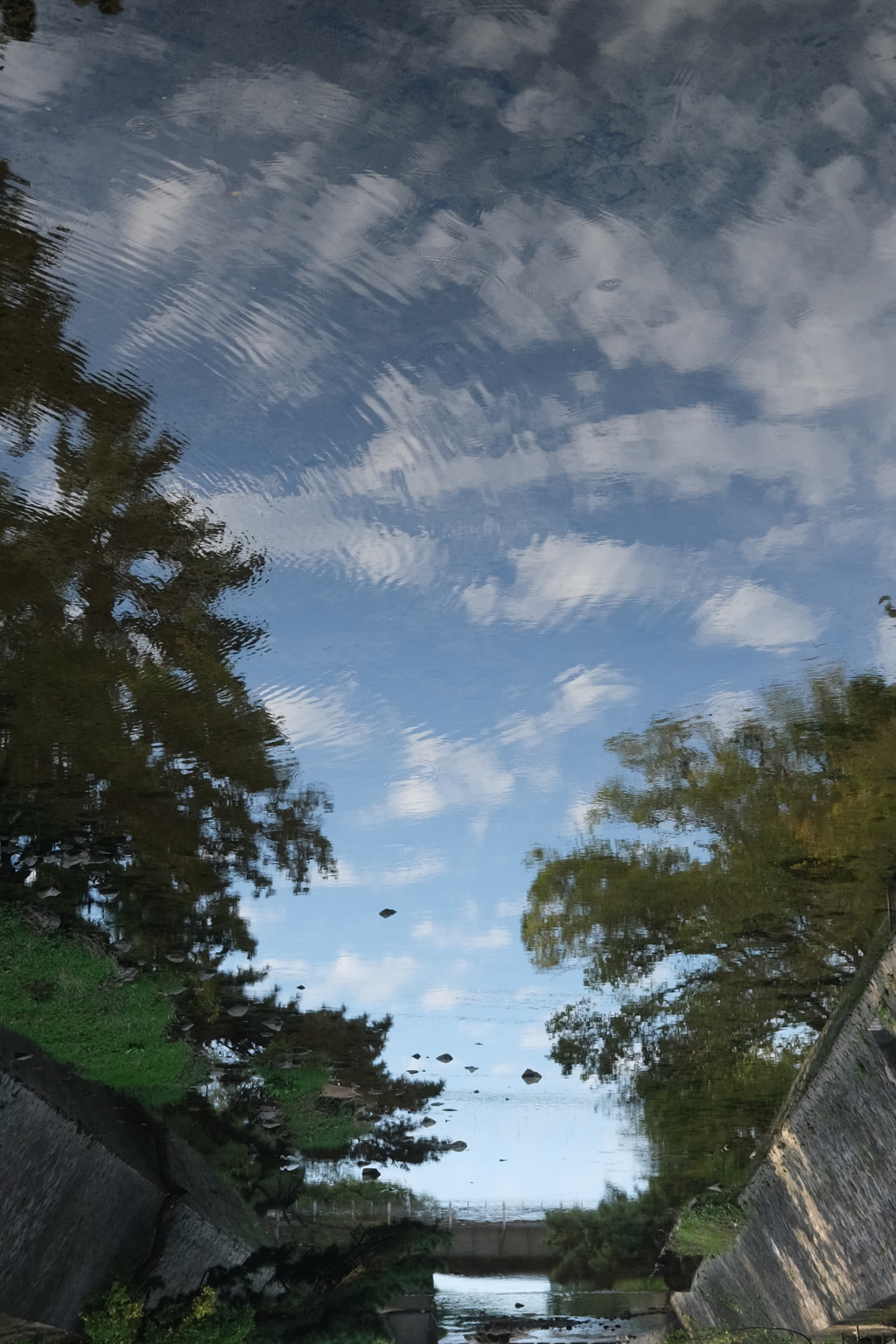 秋の空？？？