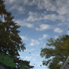 秋の空？？？