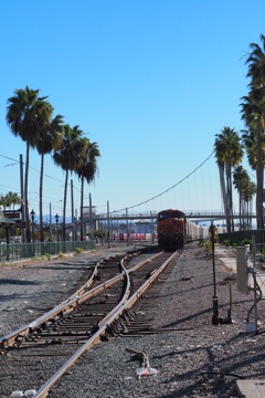 BNSF  Freight Train
