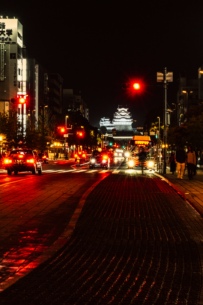 白鷺城夜景